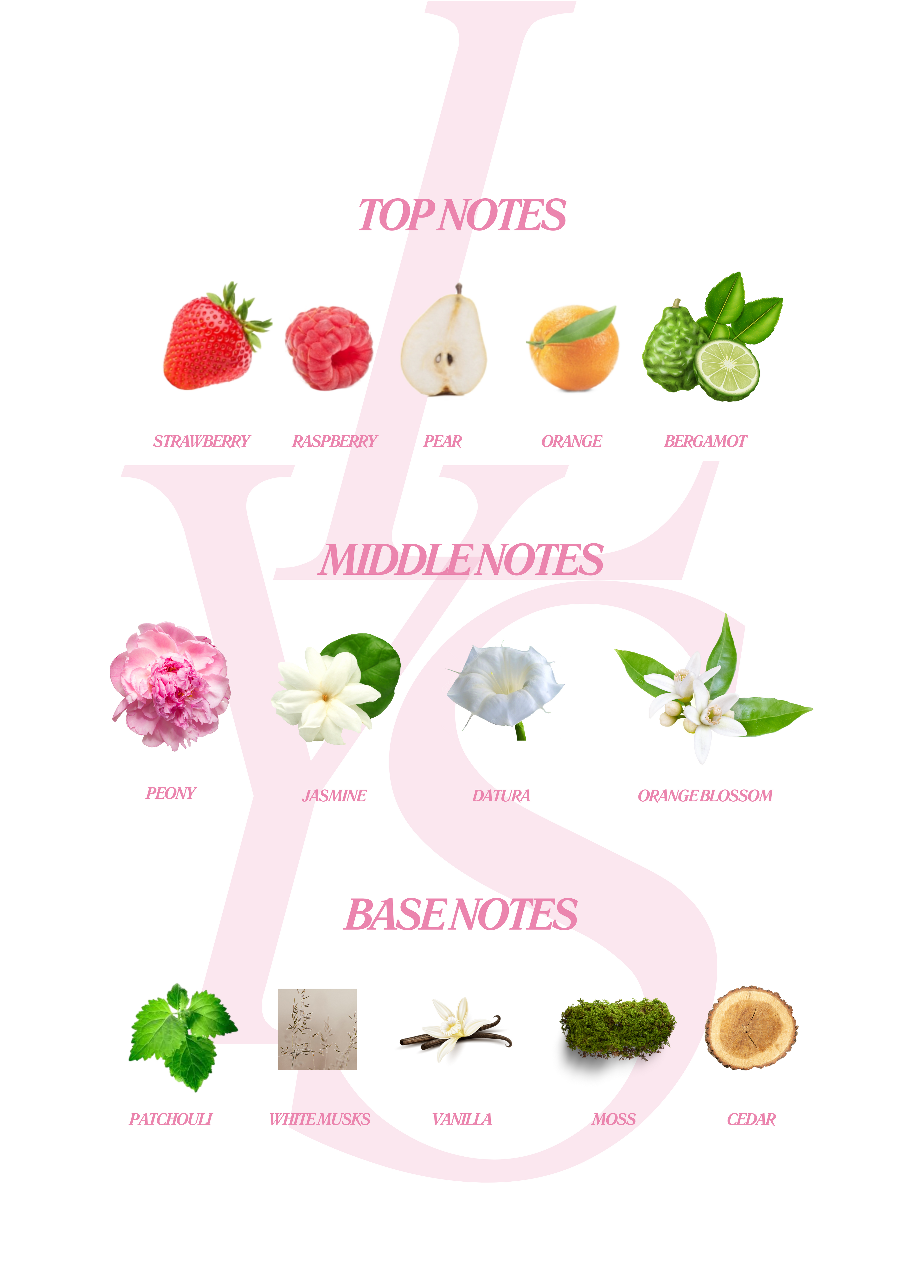 LYS Perfume: Answer