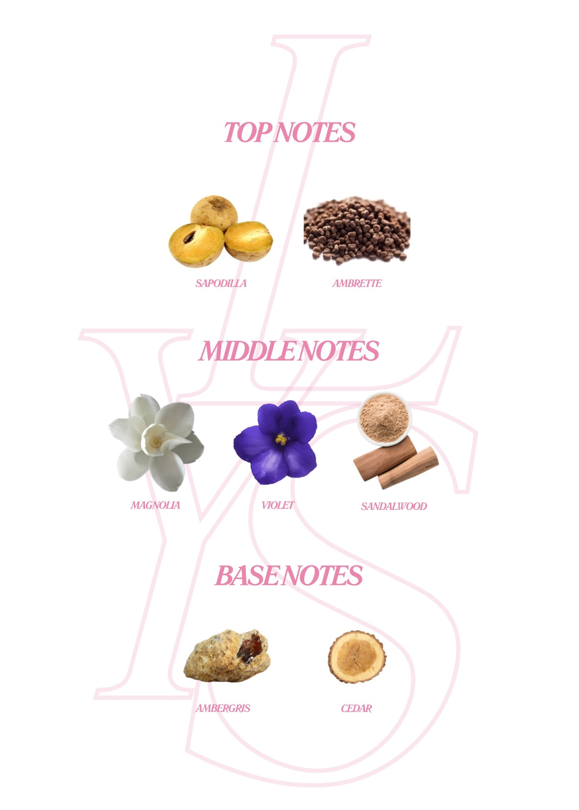 LYS Perfume: Her