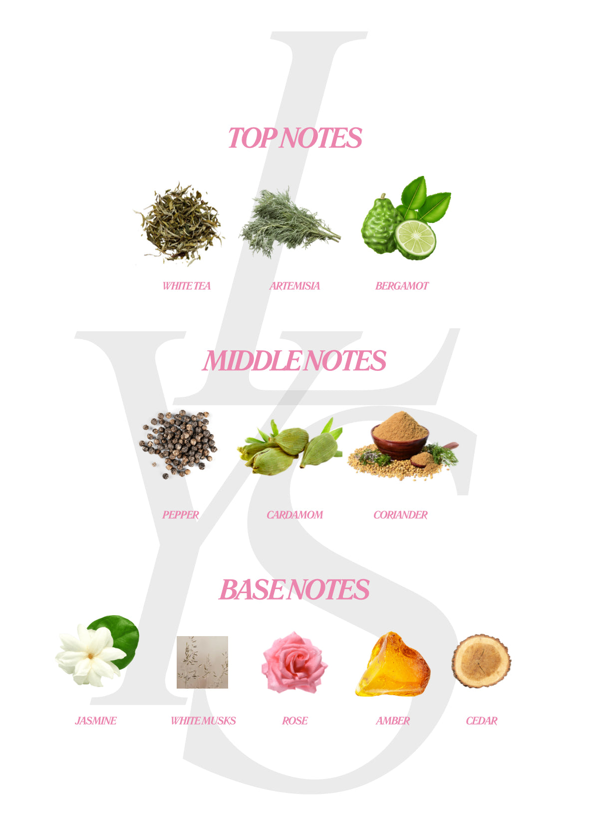 LYS Perfume: Tear